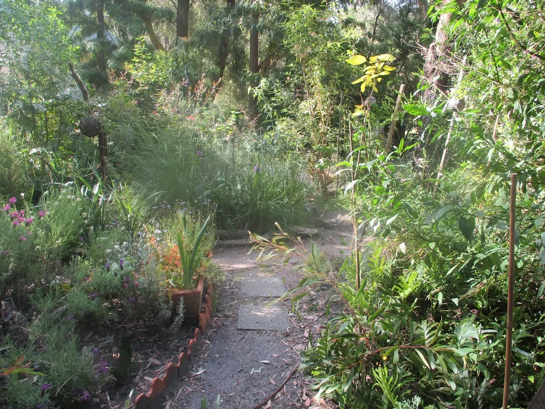 Additional image 23 of 31 Bayview Avenue, Tenby Point VIC 3984