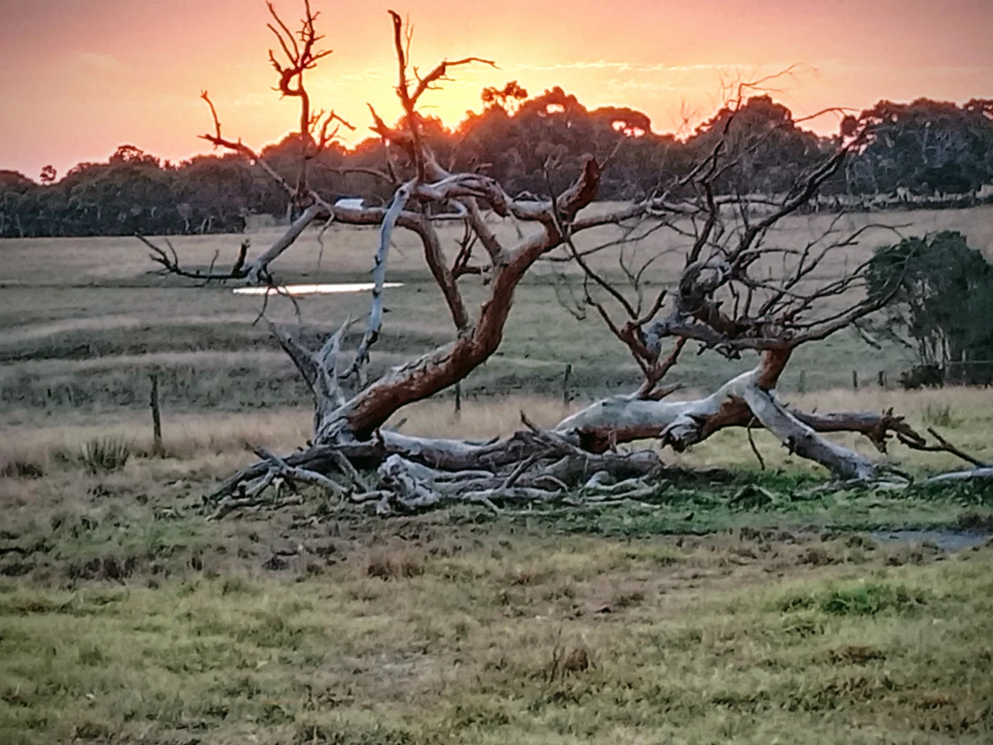 Additional image 30 of 31 Bayview Avenue, Tenby Point VIC 3984