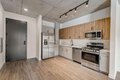 Additional image 91 of 751 N Hudson Ave, Chicago, IL, 60654