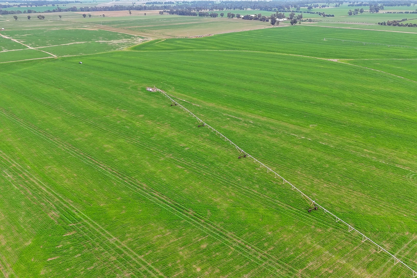 Additional image 6 of 1113 Baringhup-Eddington Road, Baringhup VIC 3463