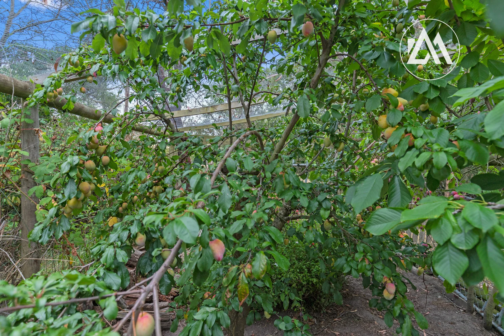 Additional image 35 of 33 Kingston Road, Langwarrin VIC 3910