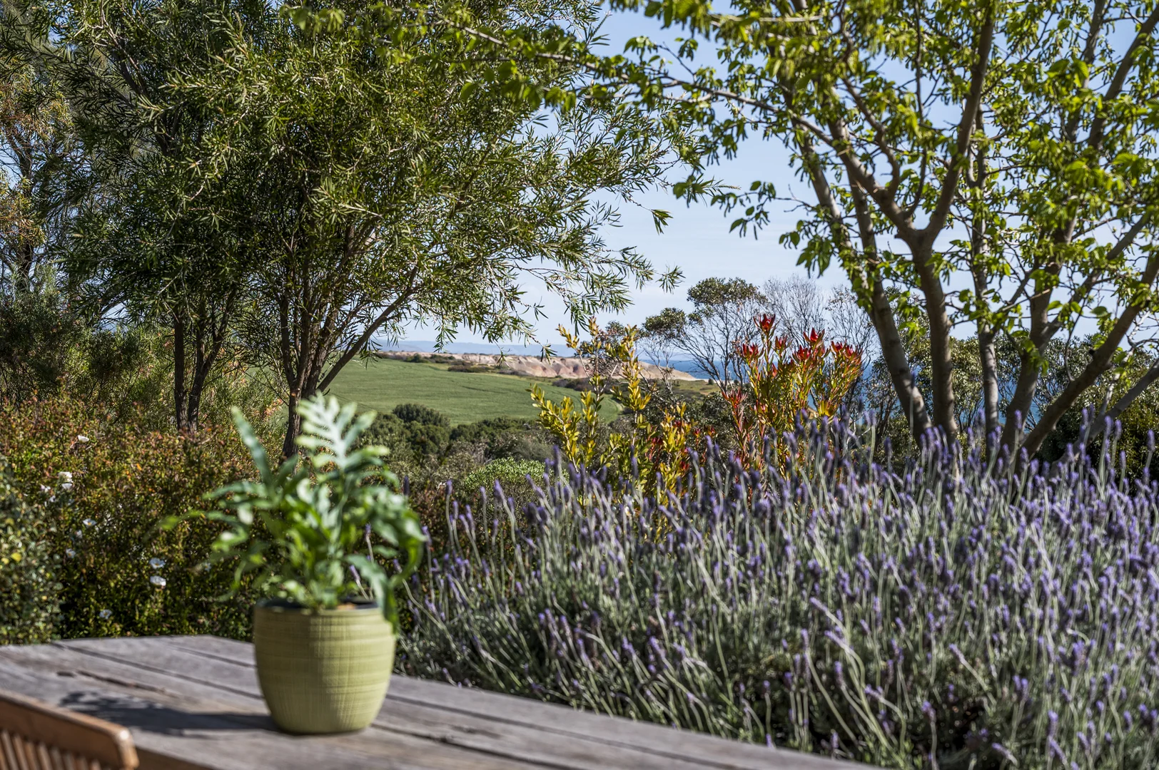 Additional image 33 of 8 Oleander Road, Maslin Beach SA 5170