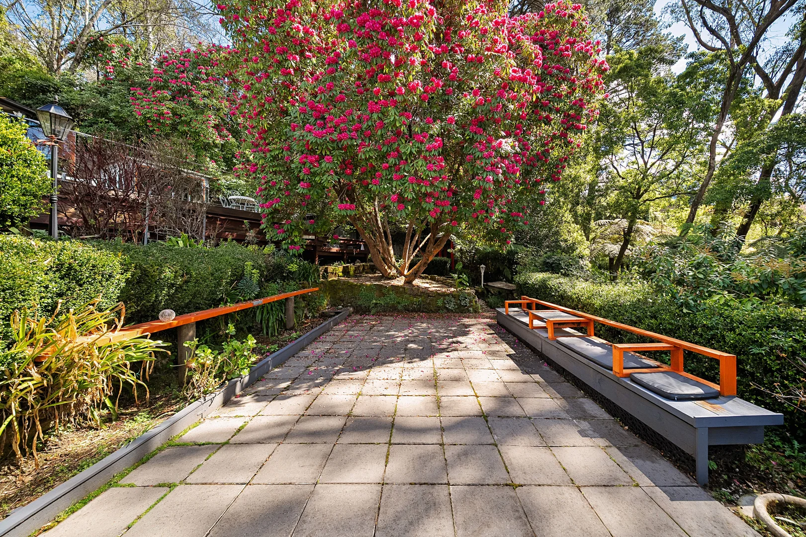 Additional image 4 of 56 Merriwa Street, Katoomba NSW 2780