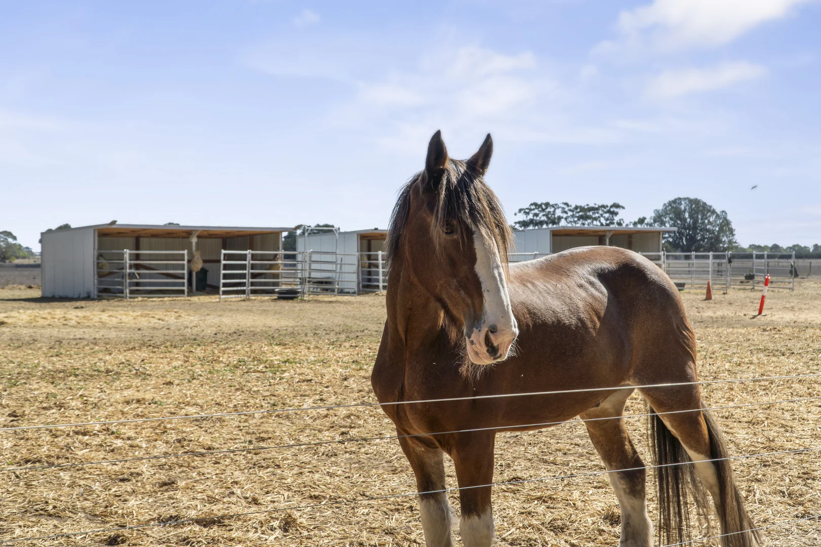 Additional image 35 of 5 Fergusons Road, Glenormiston North VIC 3265