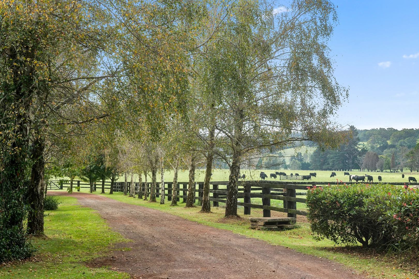 Additional image 26 of 103 Redhills Road, Fitzroy Falls NSW 2577