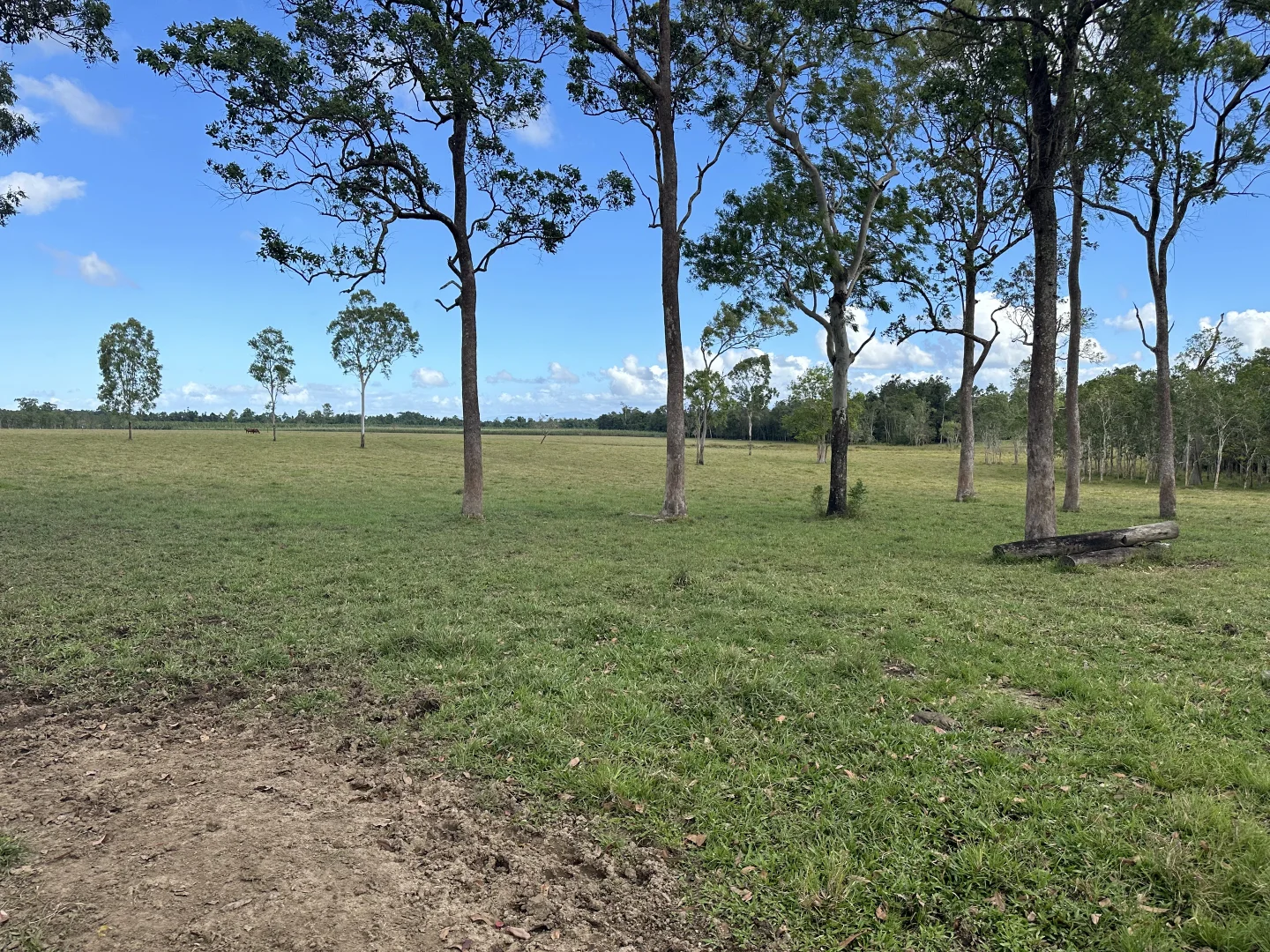 Additional image 9 of Jarra Creek QLD 4854