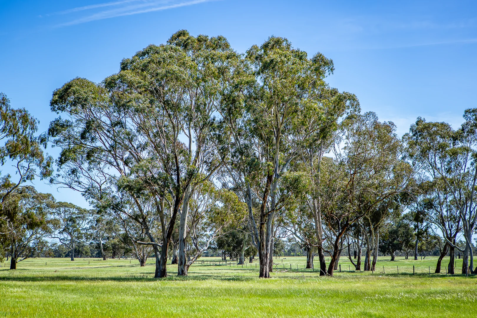 Additional image 8 of 520 Walkington Hills Road, Bangham SA 5268