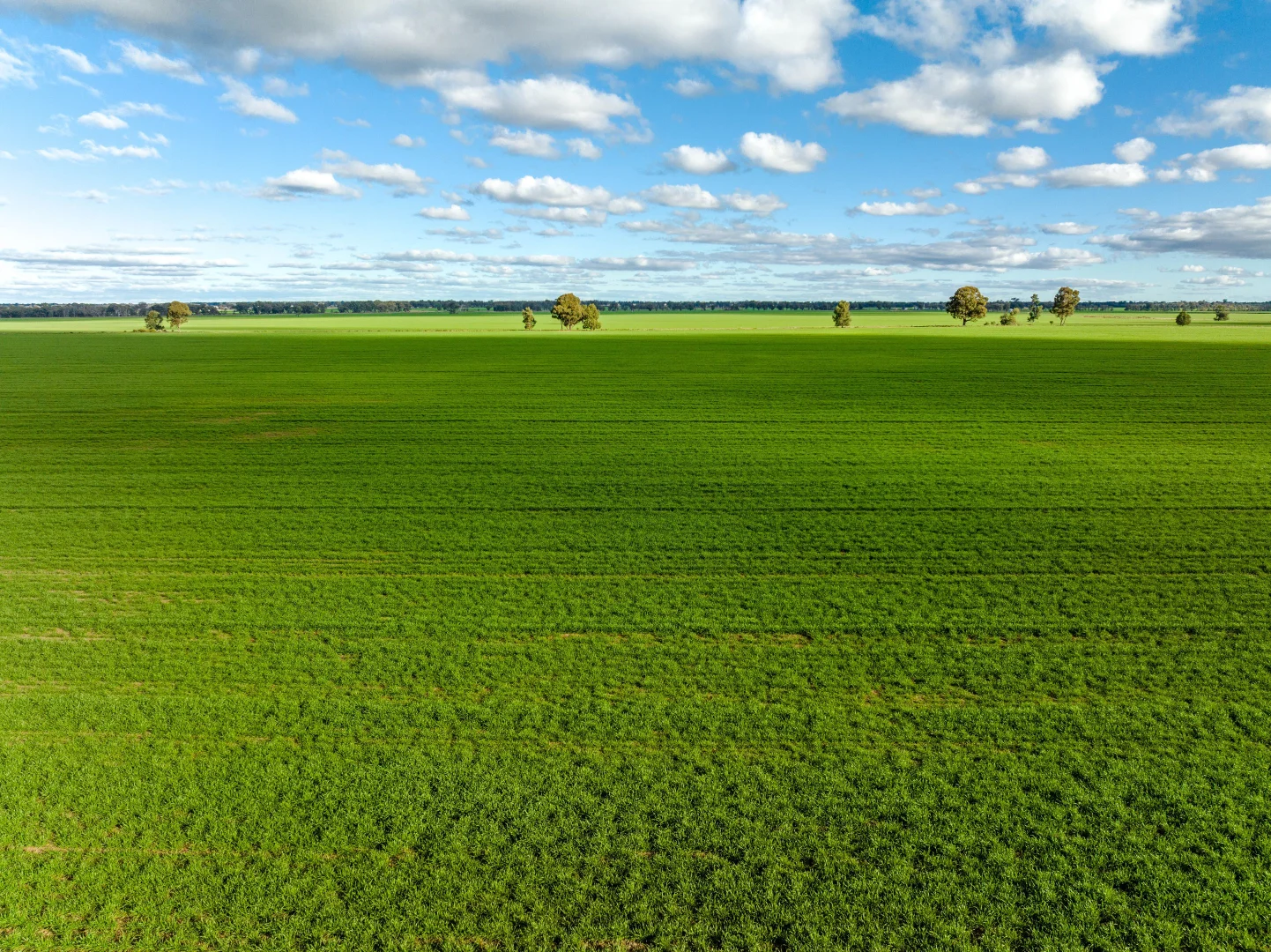Additional image 14 of 795 Younga Plains Rd, West Wyalong NSW 2671