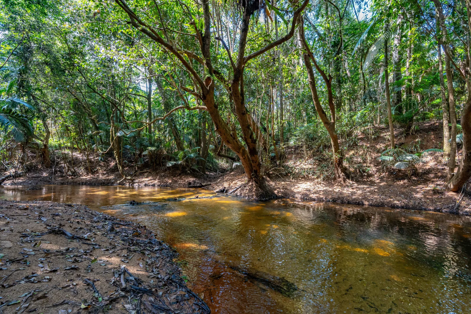 Additional image 8 of 62 Mountain View Cl, Maria Creeks QLD 4855