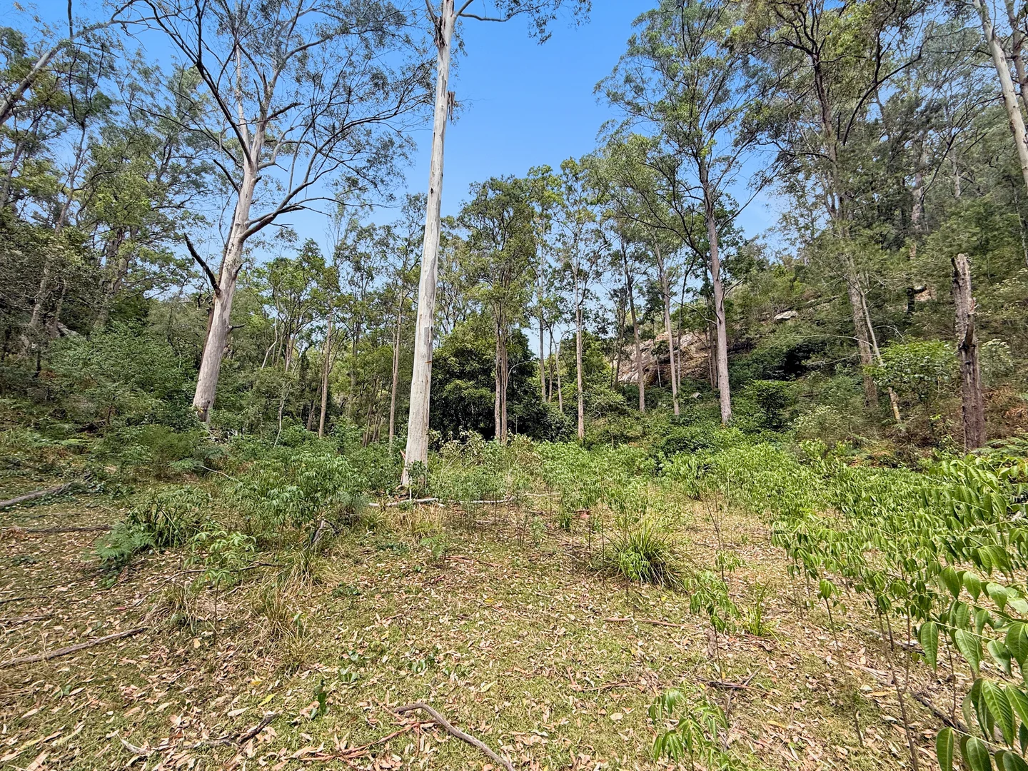 Additional image 23 of Laguna NSW 2325