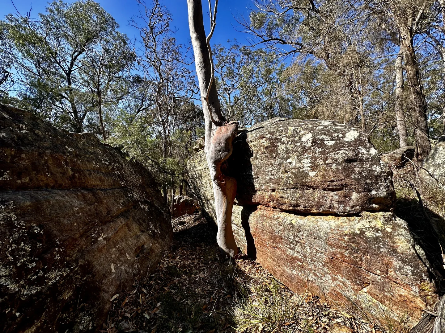 Additional image 26 of 3300 Great North Road, Wollombi NSW 2325