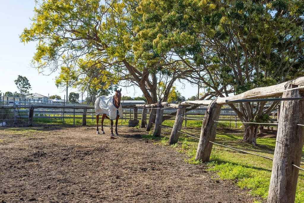 Additional image 10 of 12A Videroni St, Booval QLD 4304