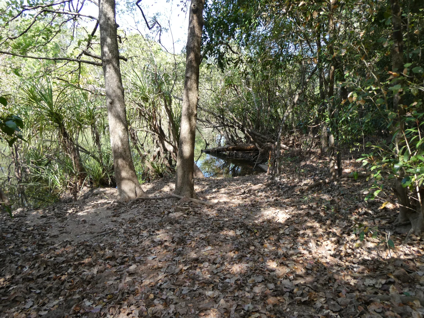 Additional image 8 of Bynoe NT 0822