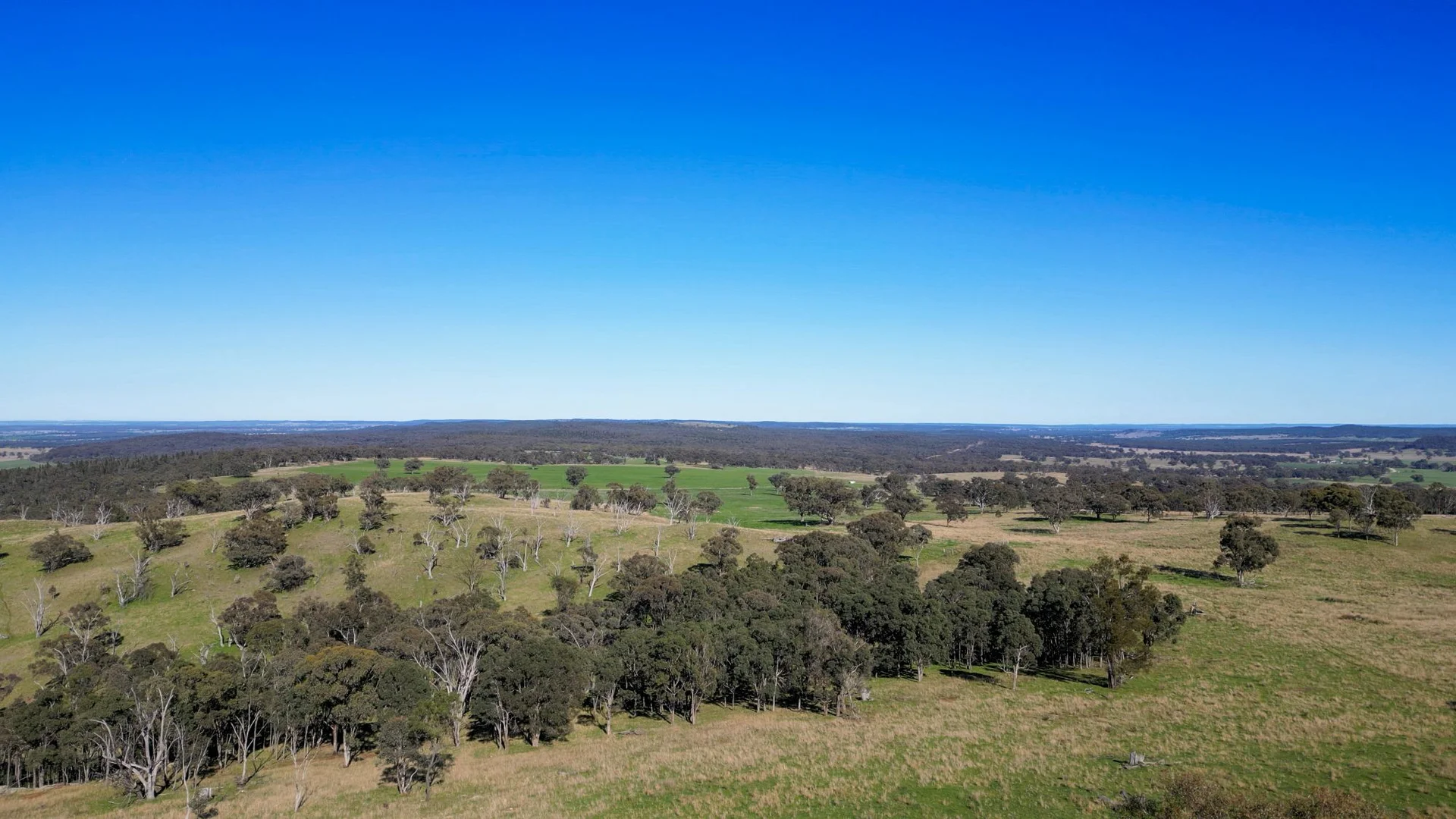 Additional image 7 of 1559 Digilah Road, Dunedoo NSW 2844