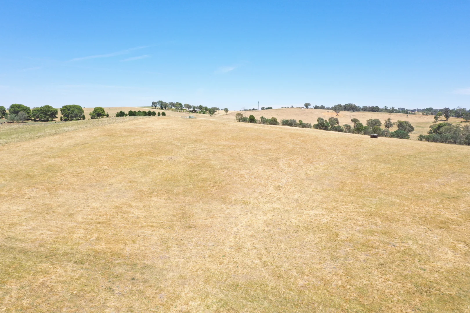 Additional image 8 of 195 Wambanumba Drive, Young NSW 2594