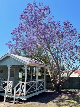 Additional image 6 of 12 Bruckner Street, Boonah QLD 4310