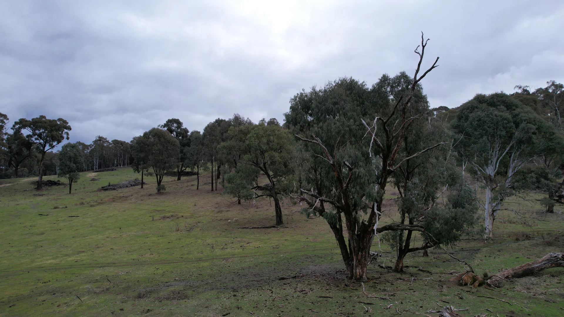 Additional image 10 of Lots 1, 4, 7 Glenroy Hills Road, Tumbarumba NSW 2653
