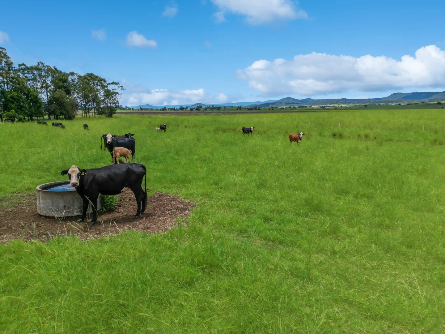 Additional image 7 of 89 O'Connors Road, Fairy Hill NSW 2470