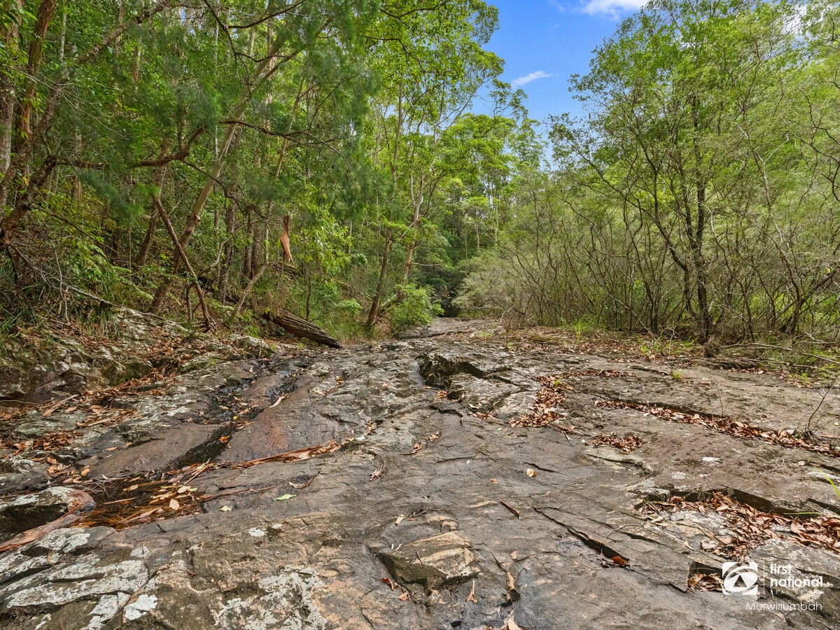 Additional image 23 of 563 Commissioners Creek Road, Commissioners Creek NSW 2484