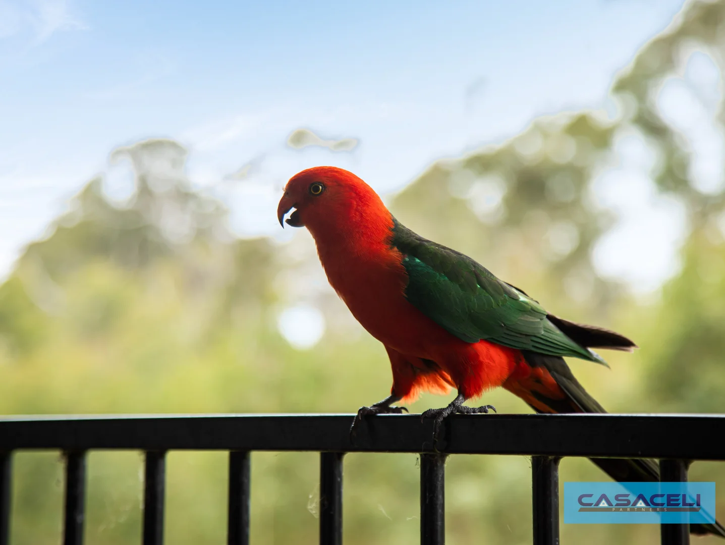 Additional image 44 of 11 Bega Street, Quaama NSW 2550