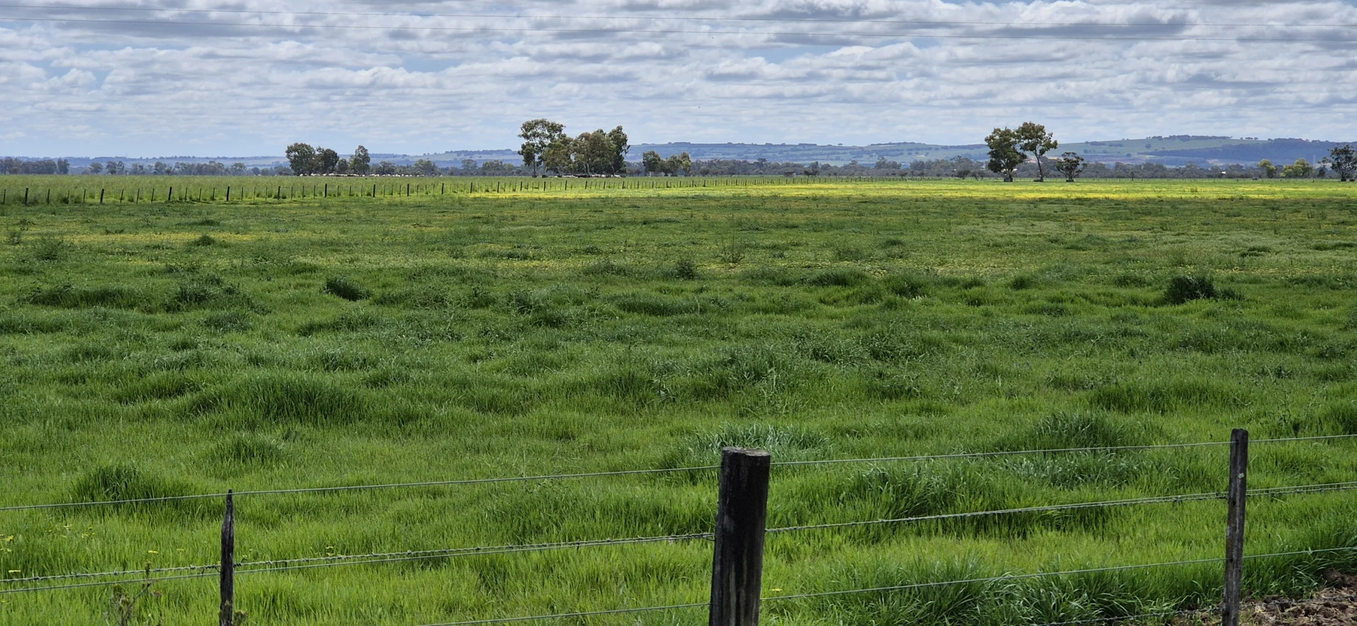 Additional image 11 of 4 Pin Pin Road, Beermullah WA 6503