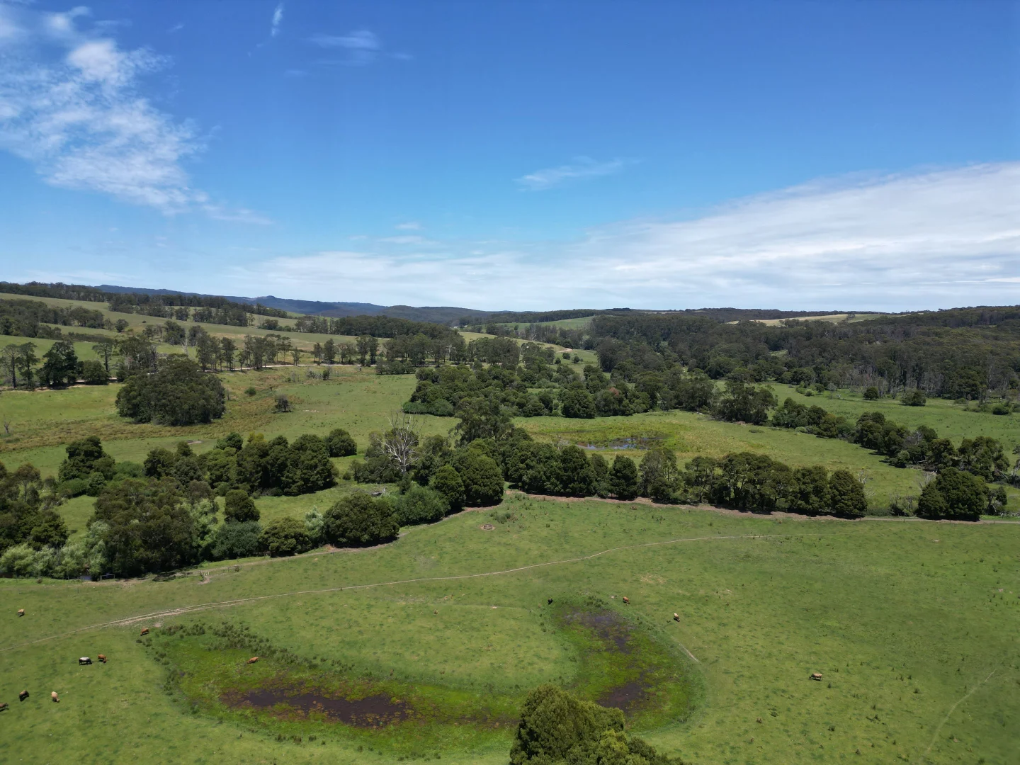 Additional image 4 of 4157 Lavers Hill Cobden Road, Chapple Vale VIC 3239