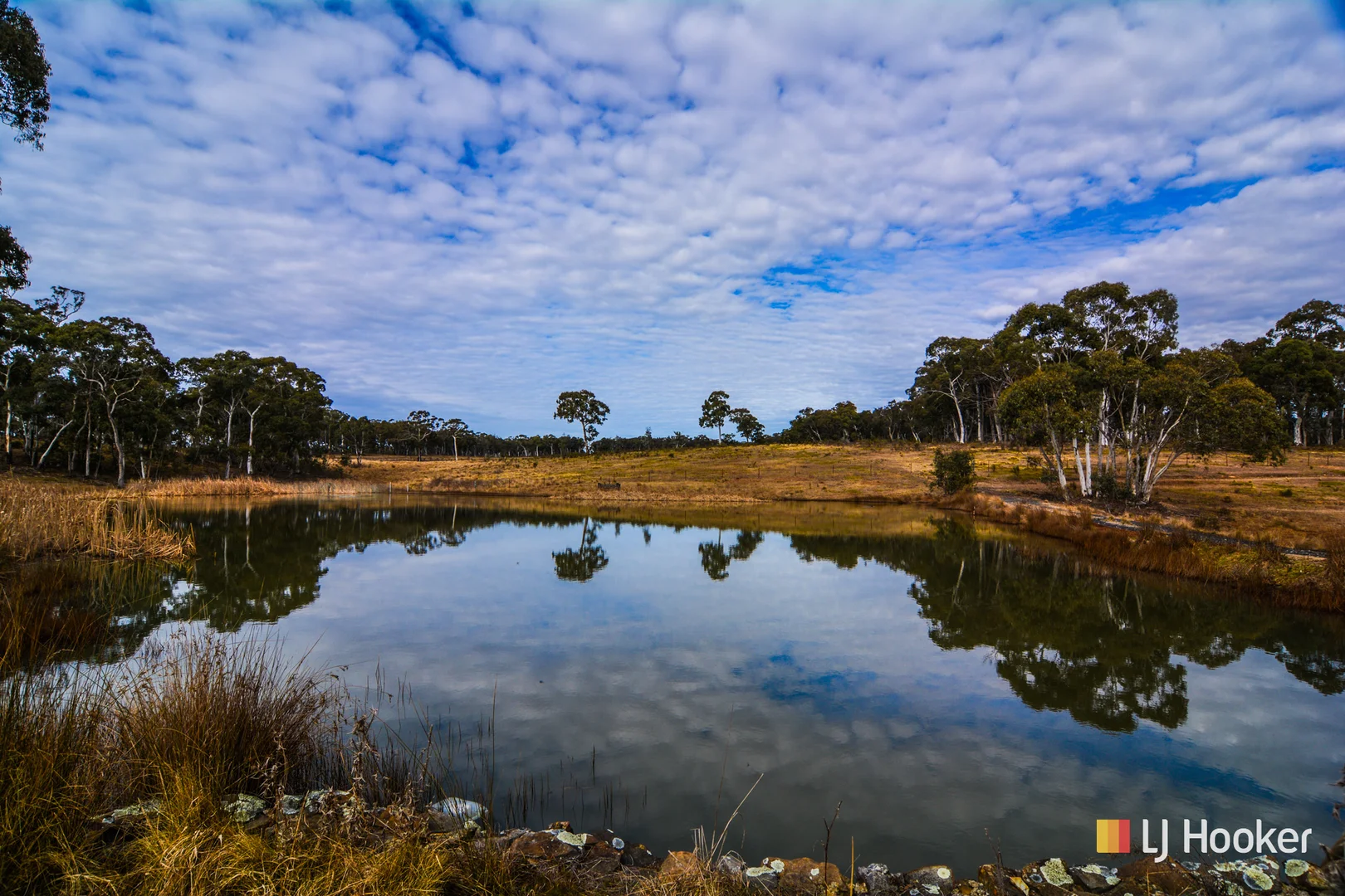 Additional image 13 of 308 Willow Vale Road, Wallerawang NSW 2845