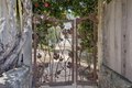 Additional image 64 of 40 Laurel Ave, Stinson Beach, CA, 94970