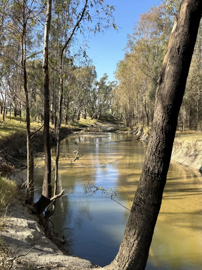 Additional image 22 of 8 Collie St, Barooga NSW 3644