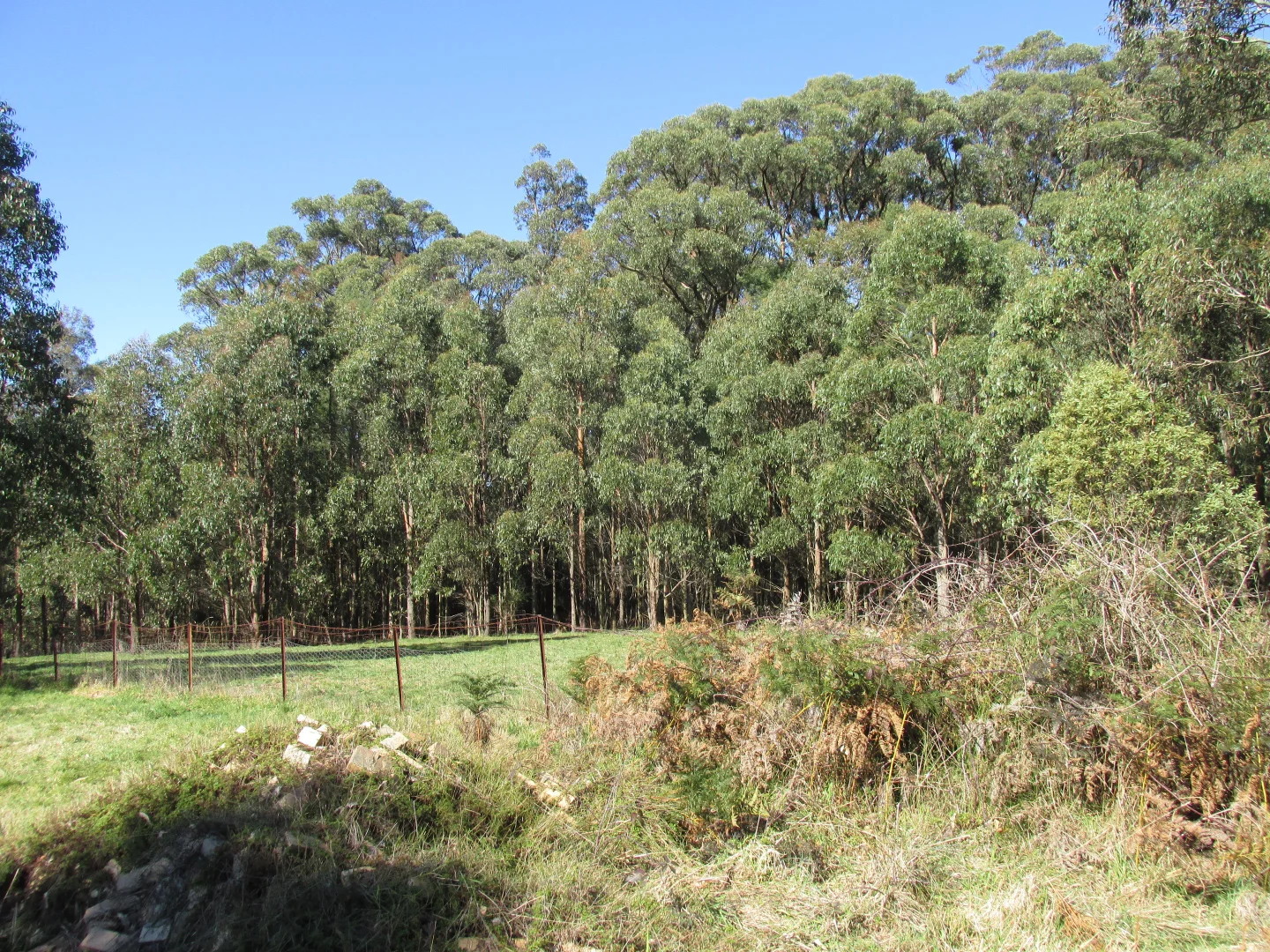 Additional image 8 of 316 Whittlesea-Kinglake Road, Kinglake Central VIC 3757