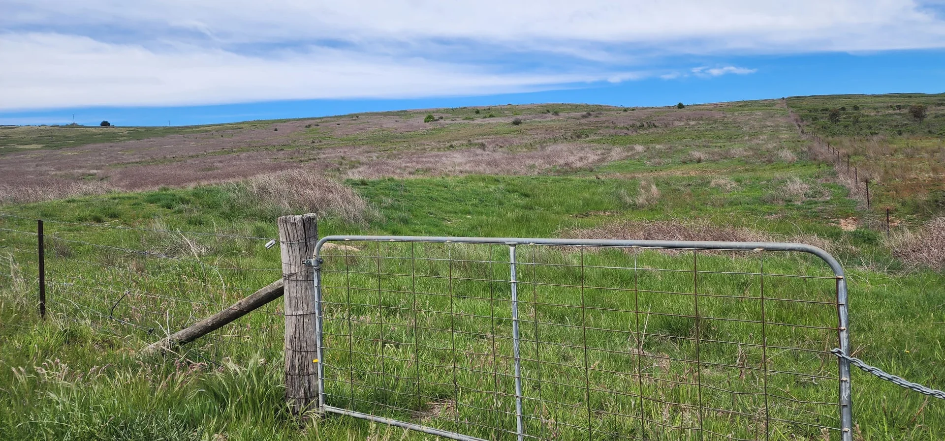 Additional image 3 of Lot 2, 175 Pomeroy Mill Ford Rd, Mummel NSW 2580