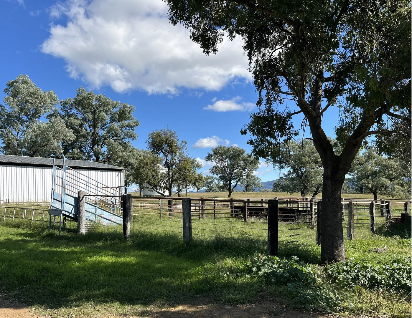 Additional image 13 of "Thirlmere" 450 Bridges Road, Gunnedah NSW 2380