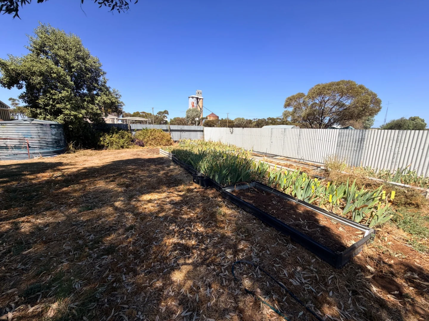 Additional image 22 of 33 Currawa, Patchewollock VIC 3491