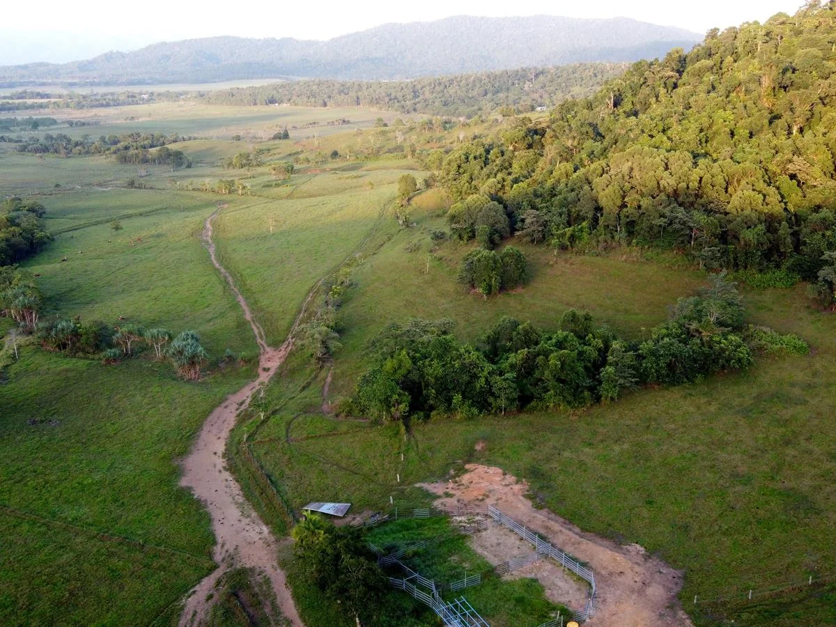 Additional image 11 of 000 Poppi Road, Cowley QLD 4871