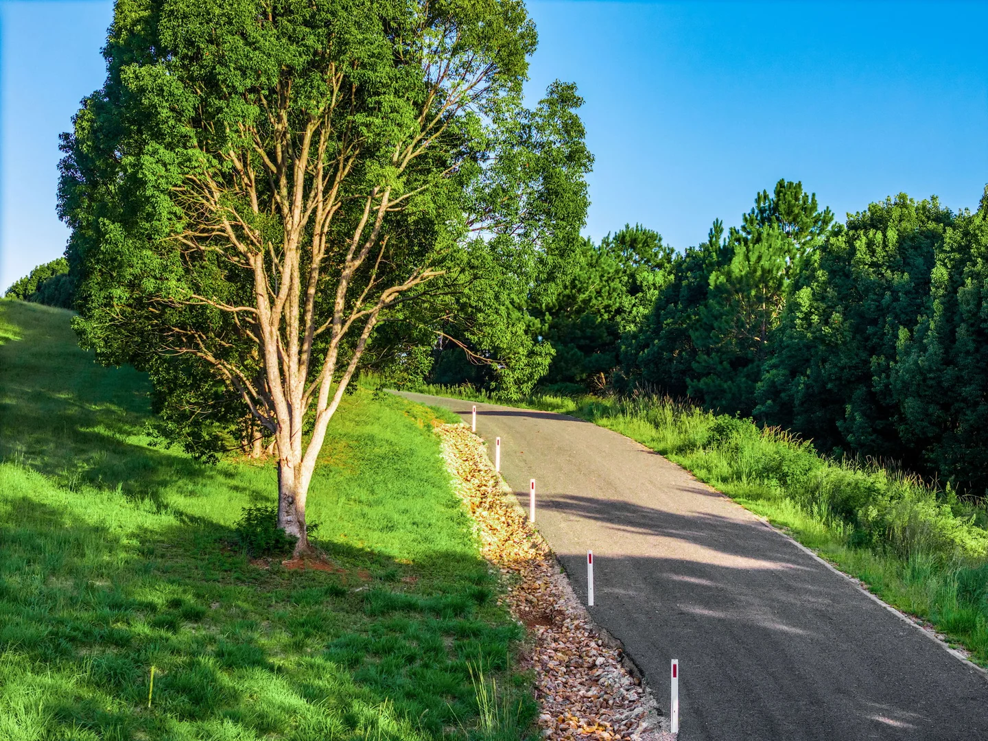 Additional image 7 of 111 Fowlers Lane, Bangalow NSW 2479