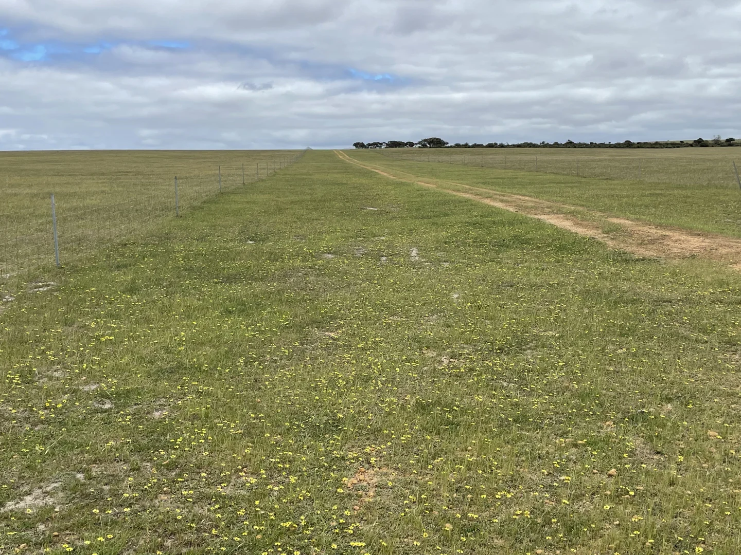 Additional image 8 of Lot 100 First North Road, Kadathinni WA 6519