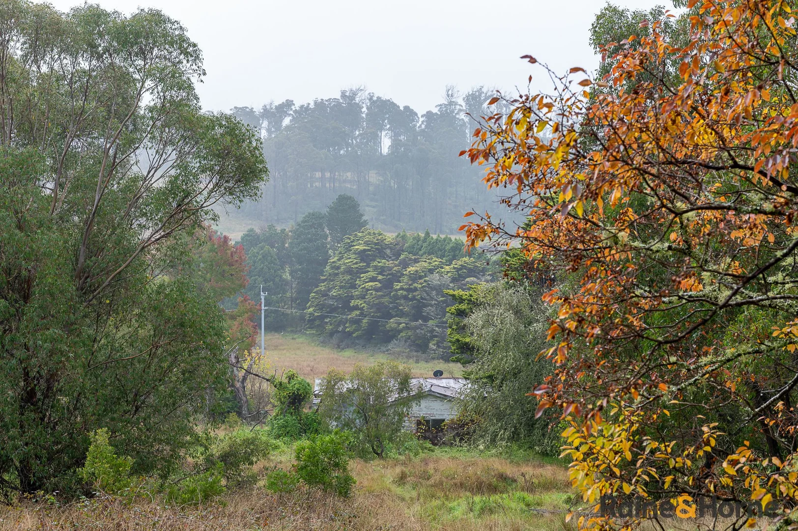 Additional image 10 of 4833 Brackendale Road, Nowendoc NSW 2354