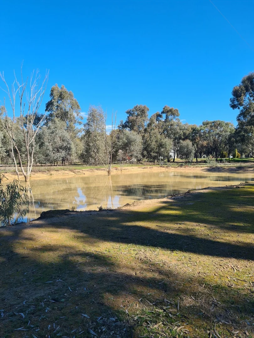 Additional image 19 of 78 Louies Hut Road, Moama NSW 2731