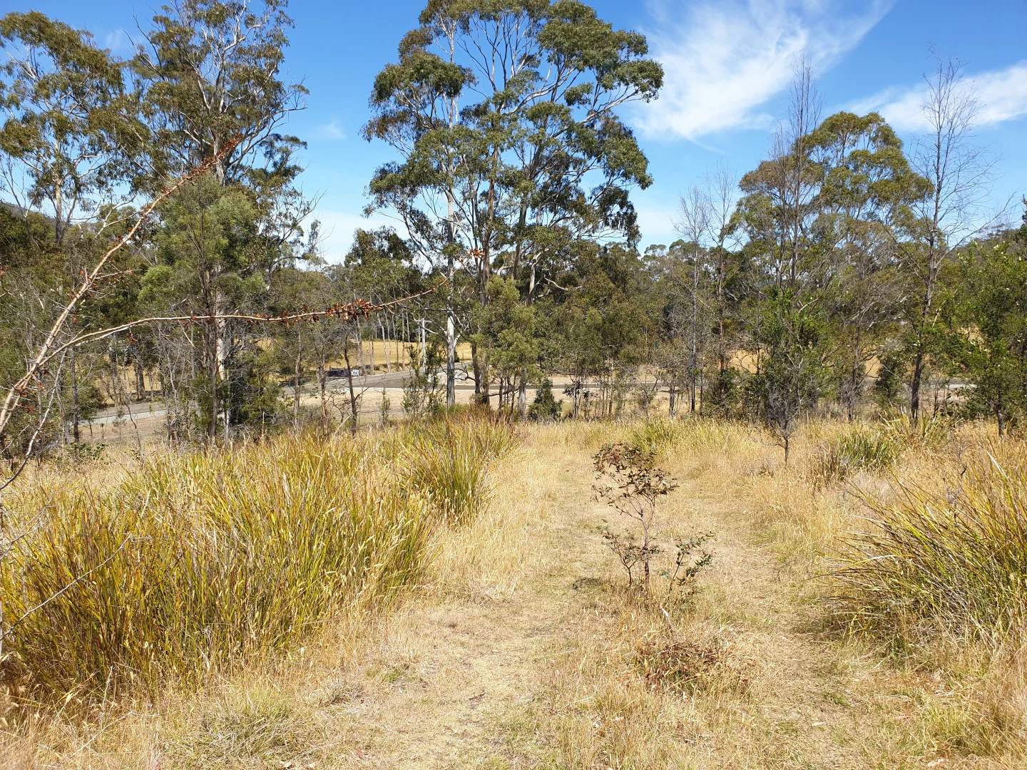 Additional image 7 of Lot 4 Lowes Road, Garden Island Creek TAS 7112