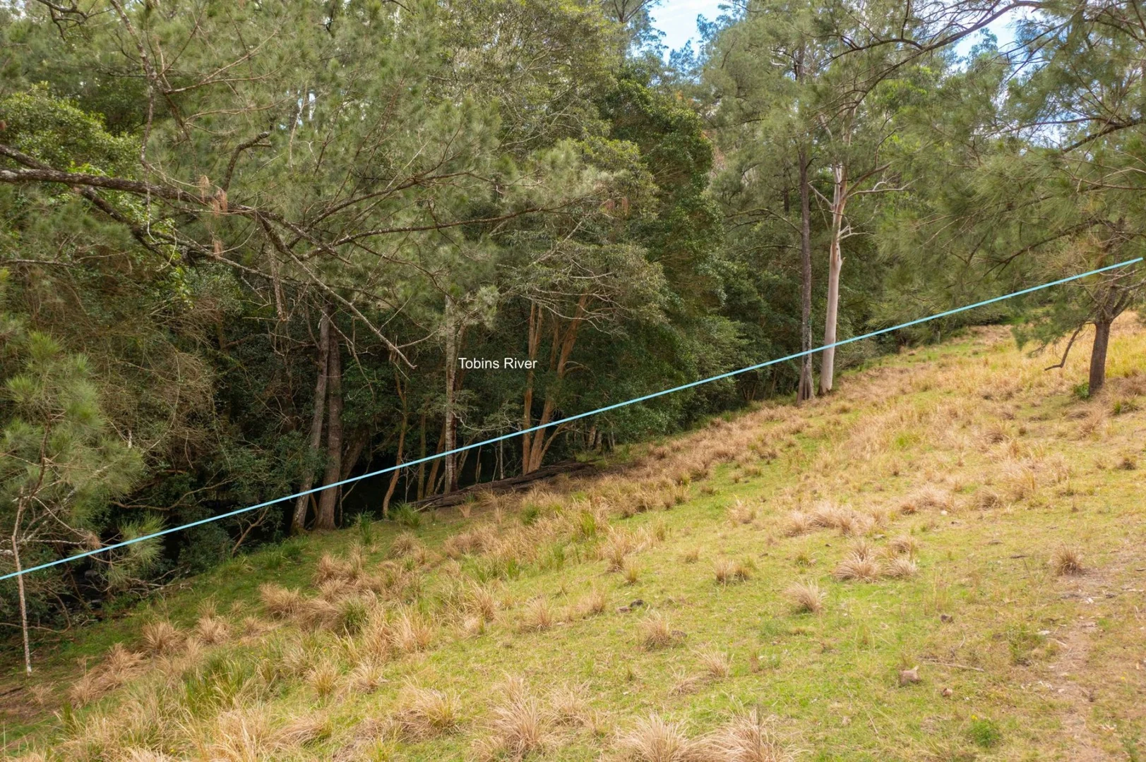 Additional image 26 of Lot 24 209 Tobins River Road, Mount Seaview NSW 2446
