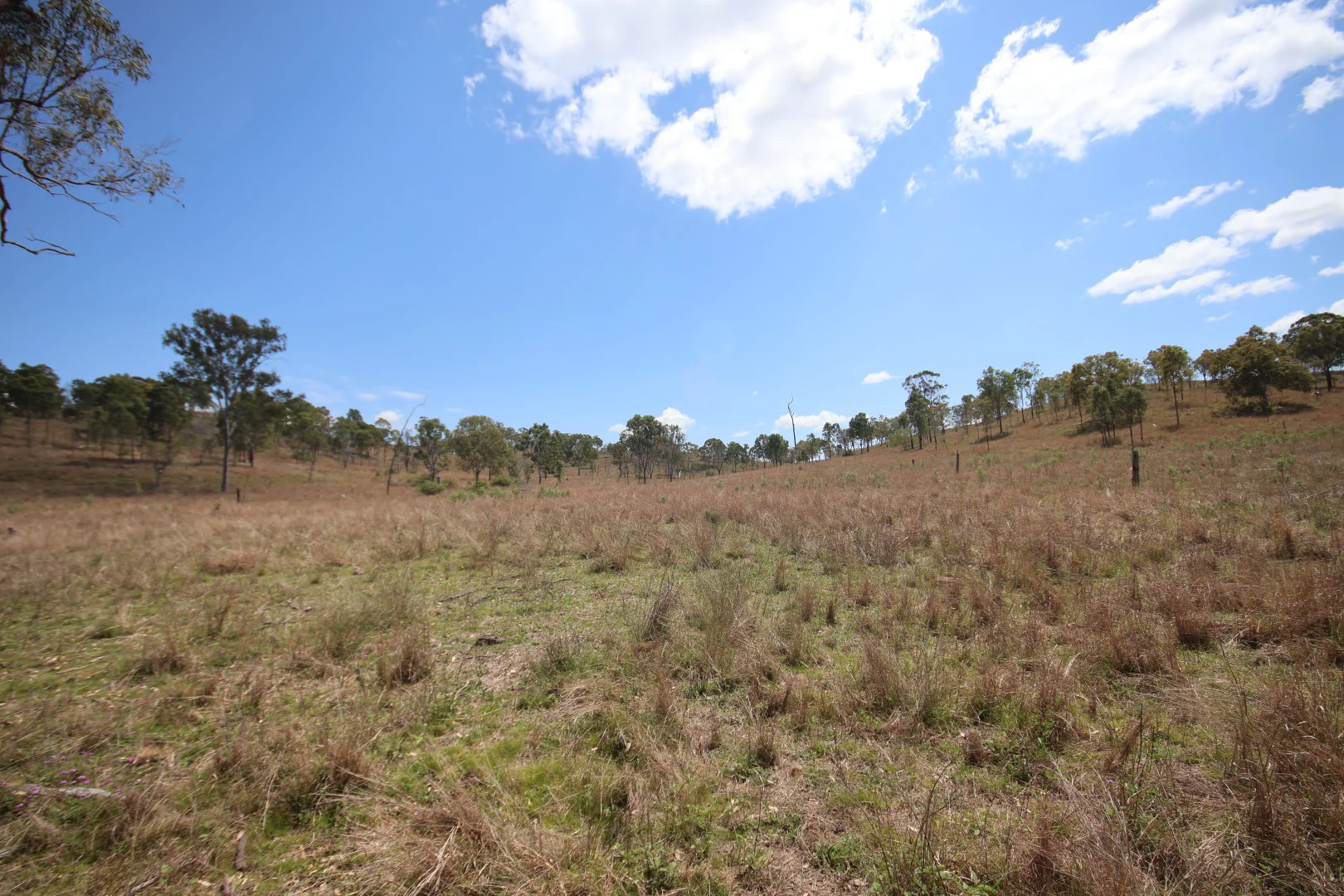 Additional image 20 of 789 Coppin Road, Mungungo QLD 4630