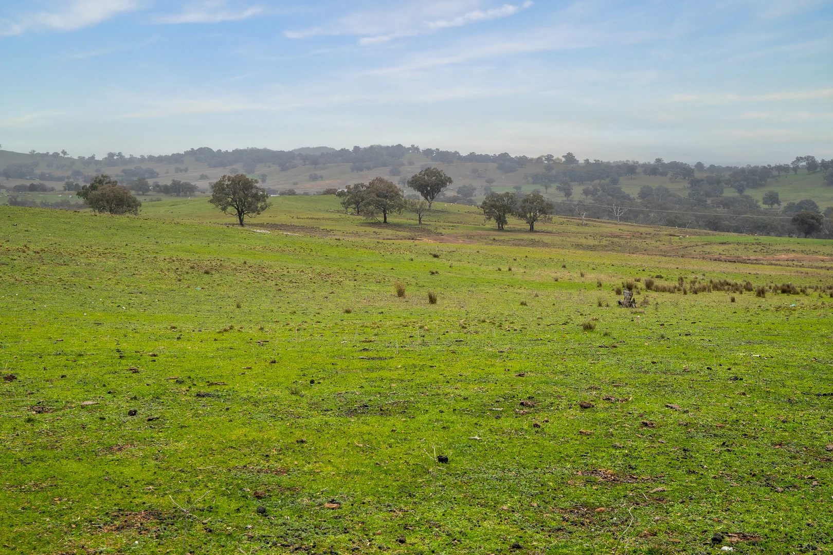 Additional image 2 of 6119 Burrendong Way, Stuart Town NSW 2820