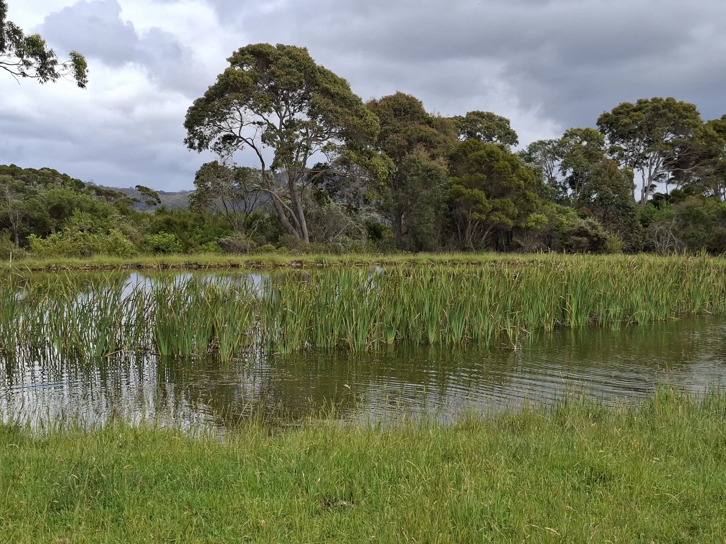 Additional image 24 of 38491 South Western Highway, Broke WA 6398