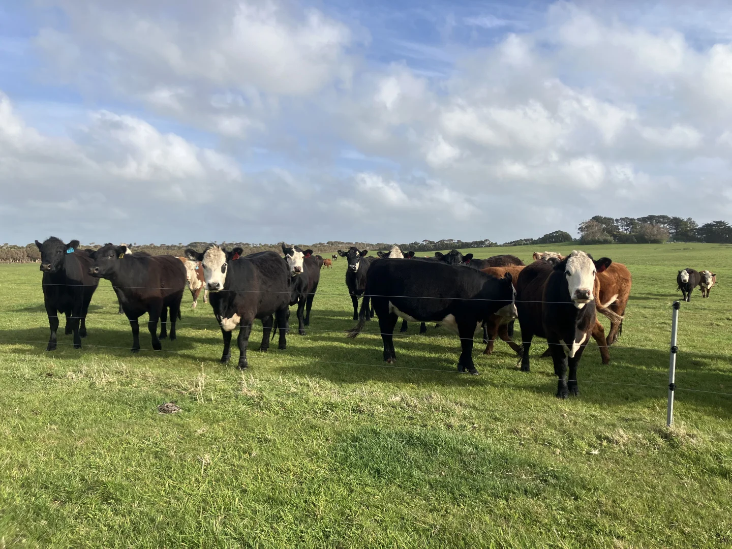 Additional image 7 of Lot 2, 357 Don Kendell Drive, Loorana TAS 7256