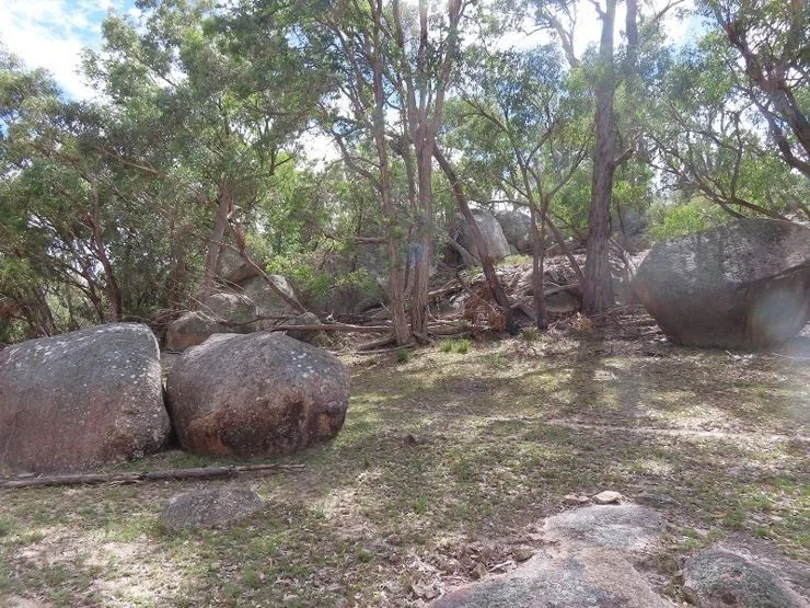 Additional image 7 of Lot 42 Ravensmoor Road, Stanthorpe QLD 4380