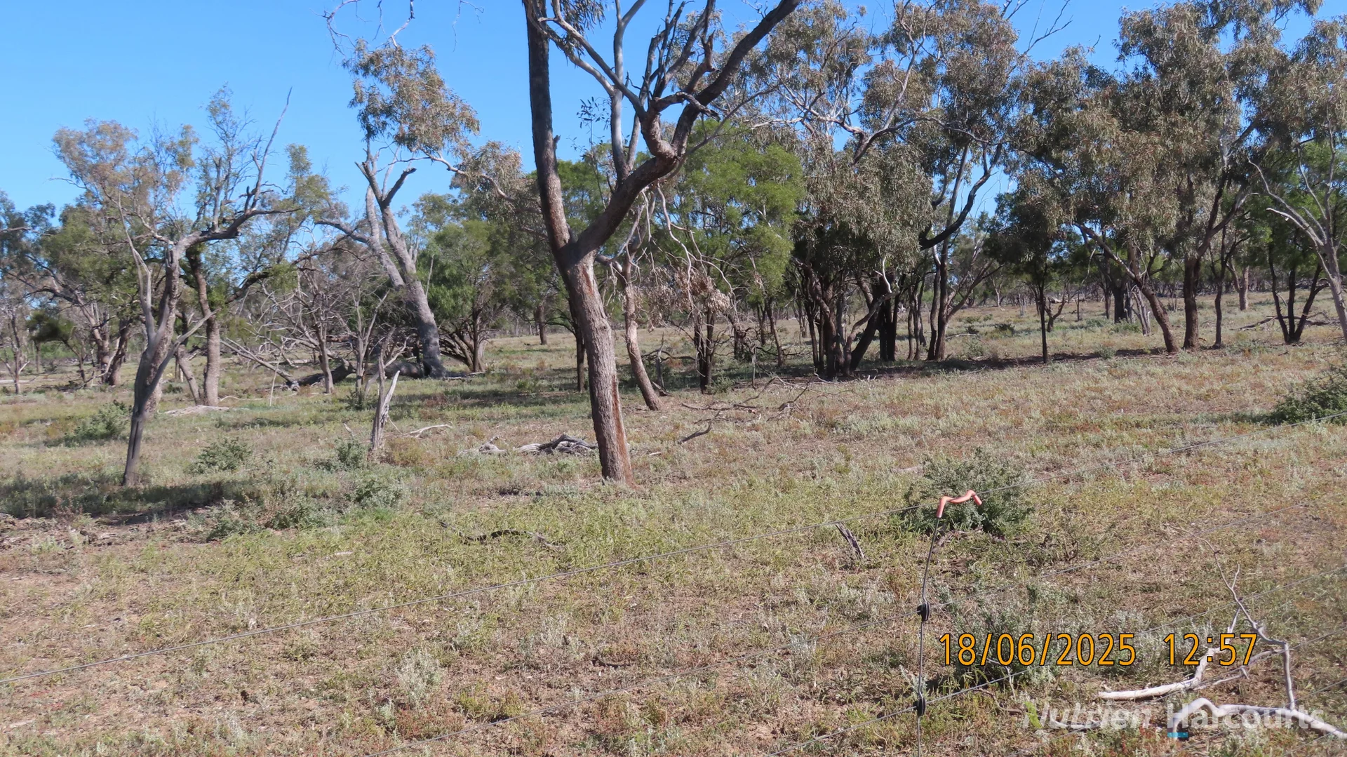 Additional image 15 of * Springvale, Walgett NSW 2832