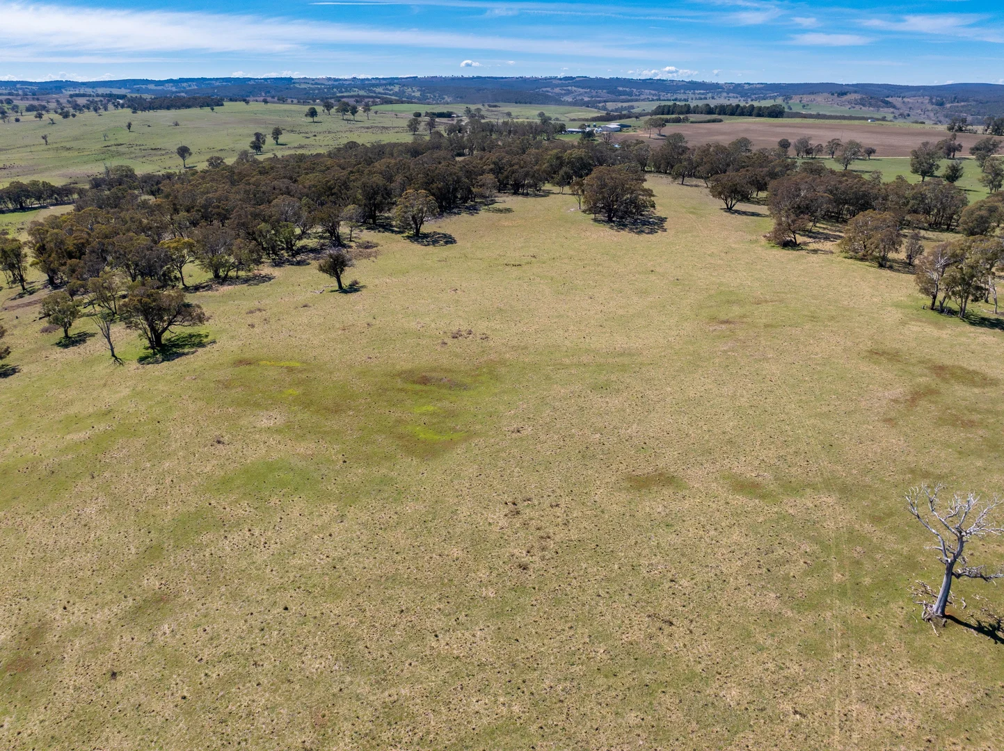 Additional image 28 of 5353 Trunkey Road, Trunkey Creek NSW 2795