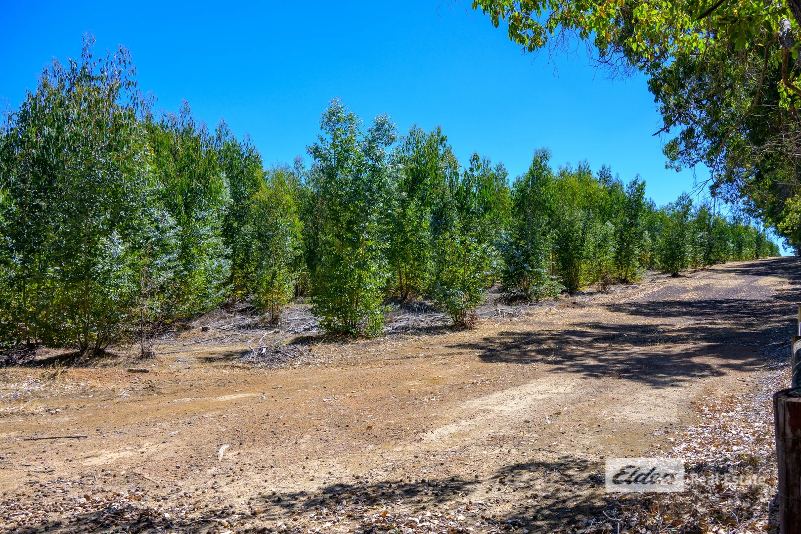 Additional image 30 of 575 Farley Road, Paynedale WA 6239