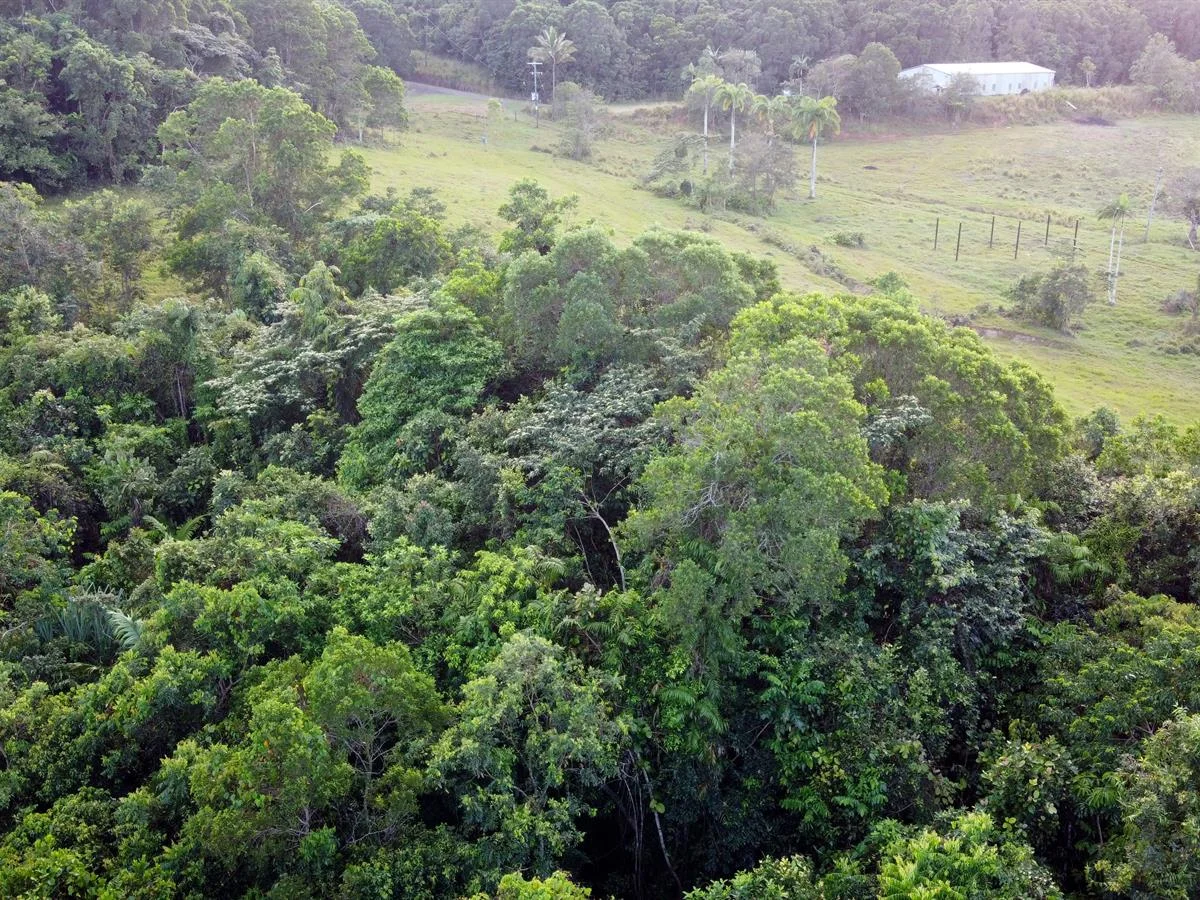Additional image 17 of 000 Poppi Road, Cowley QLD 4871