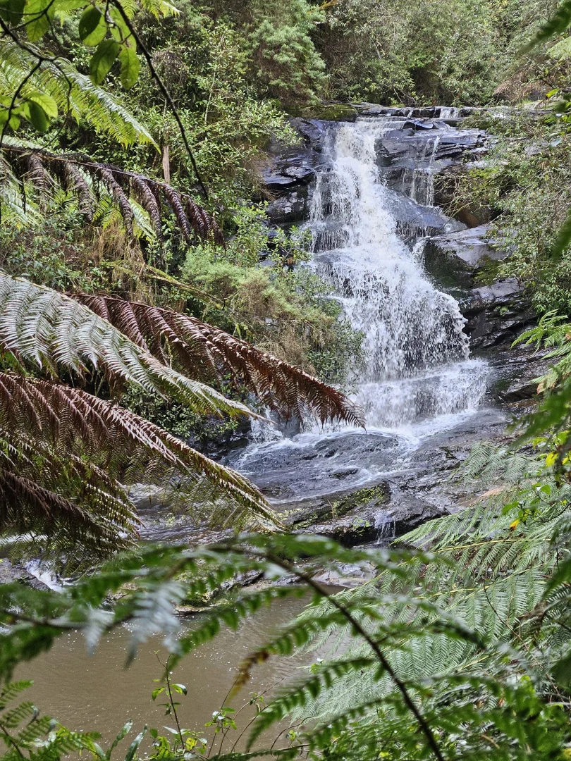 Additional image 8 of Grand Ridge VIC 3870